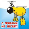 Аватар користувача