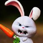 Аватар користувача